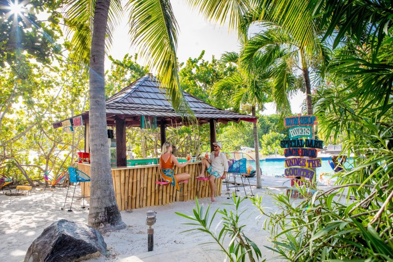 310387598_488159396672783_6577832425344773786_n