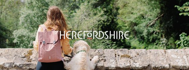 284262228_5250347285012247_8542377487037966340_n