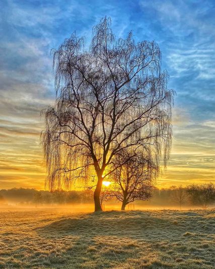 472170196_1003605181809602_7680471755218695195_n