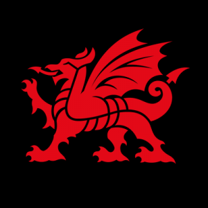 Group logo of Visit Wales