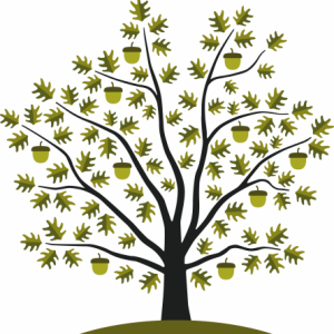 Group logo of High Park Barns - Self Catering****